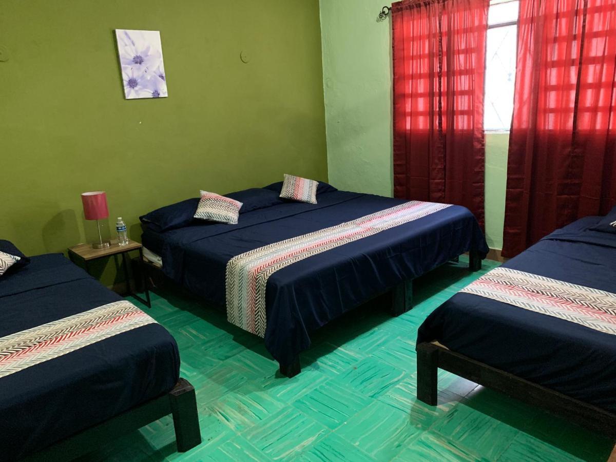 Casa Alegria Ξενοδοχείο Mérida Εξωτερικό φωτογραφία