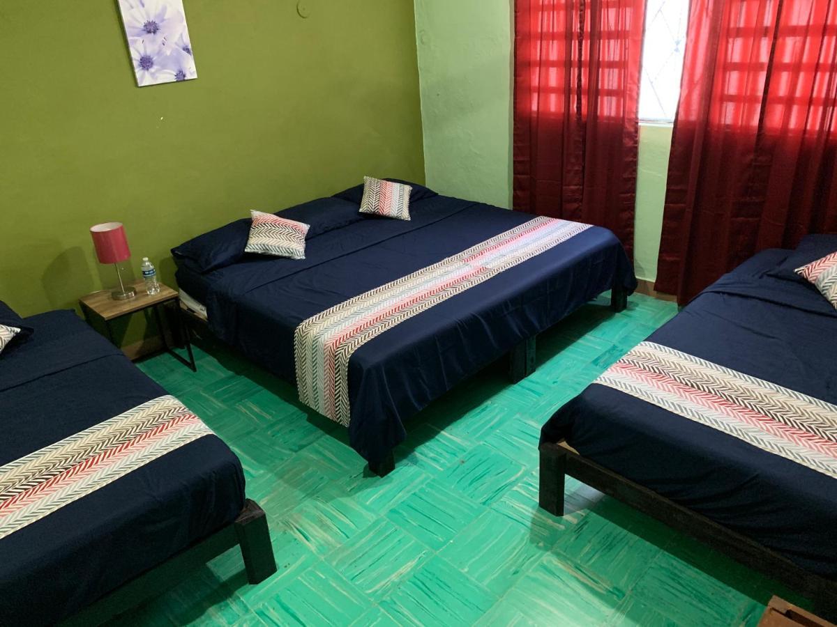 Casa Alegria Ξενοδοχείο Mérida Εξωτερικό φωτογραφία